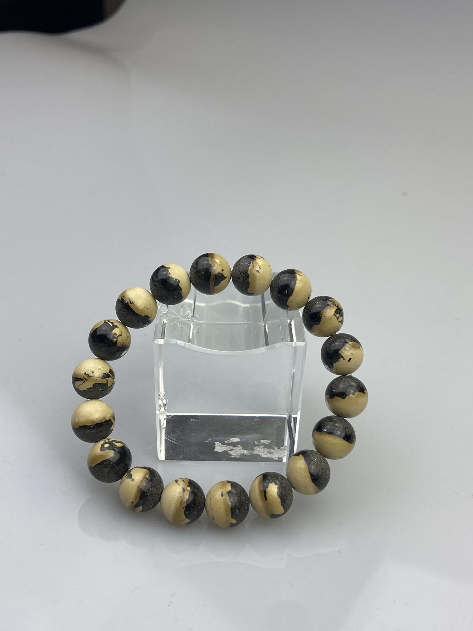 385526717_1023751312079330_4446520184973768605_n